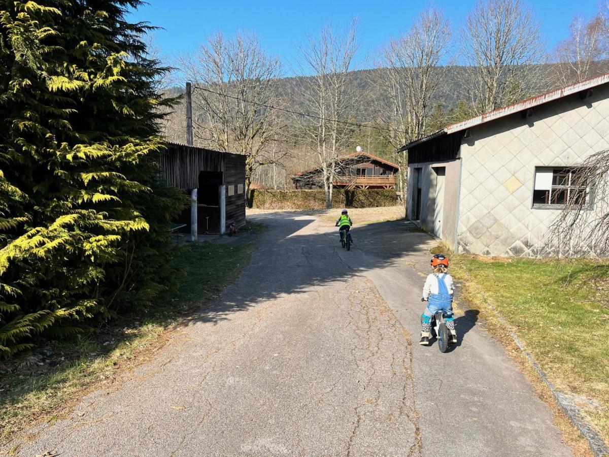 Chalet Les Bleuets 12p - Babyfoot & Wii Gérardmer